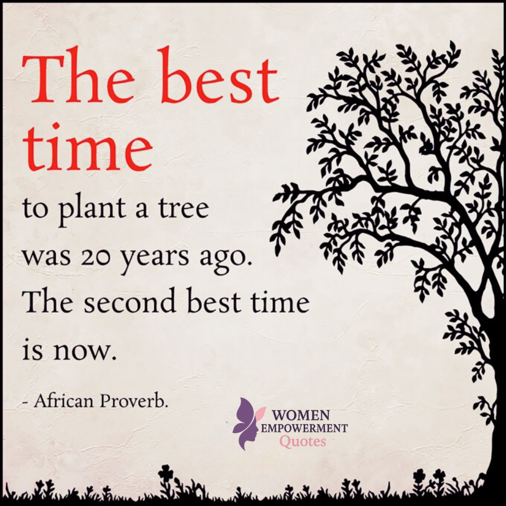 26 Fascinating Facts About Trees