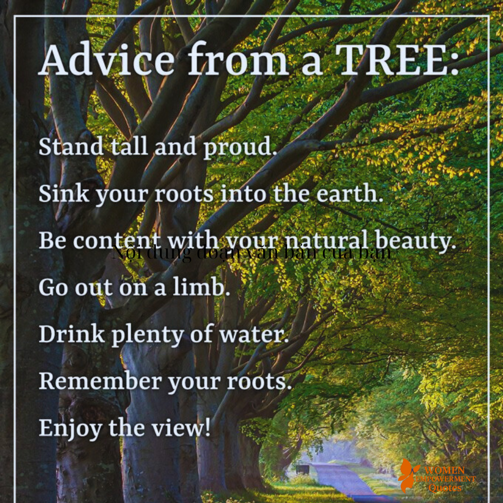 Rooted and Rising: Life Lessons from the Silent Wisdom of Trees