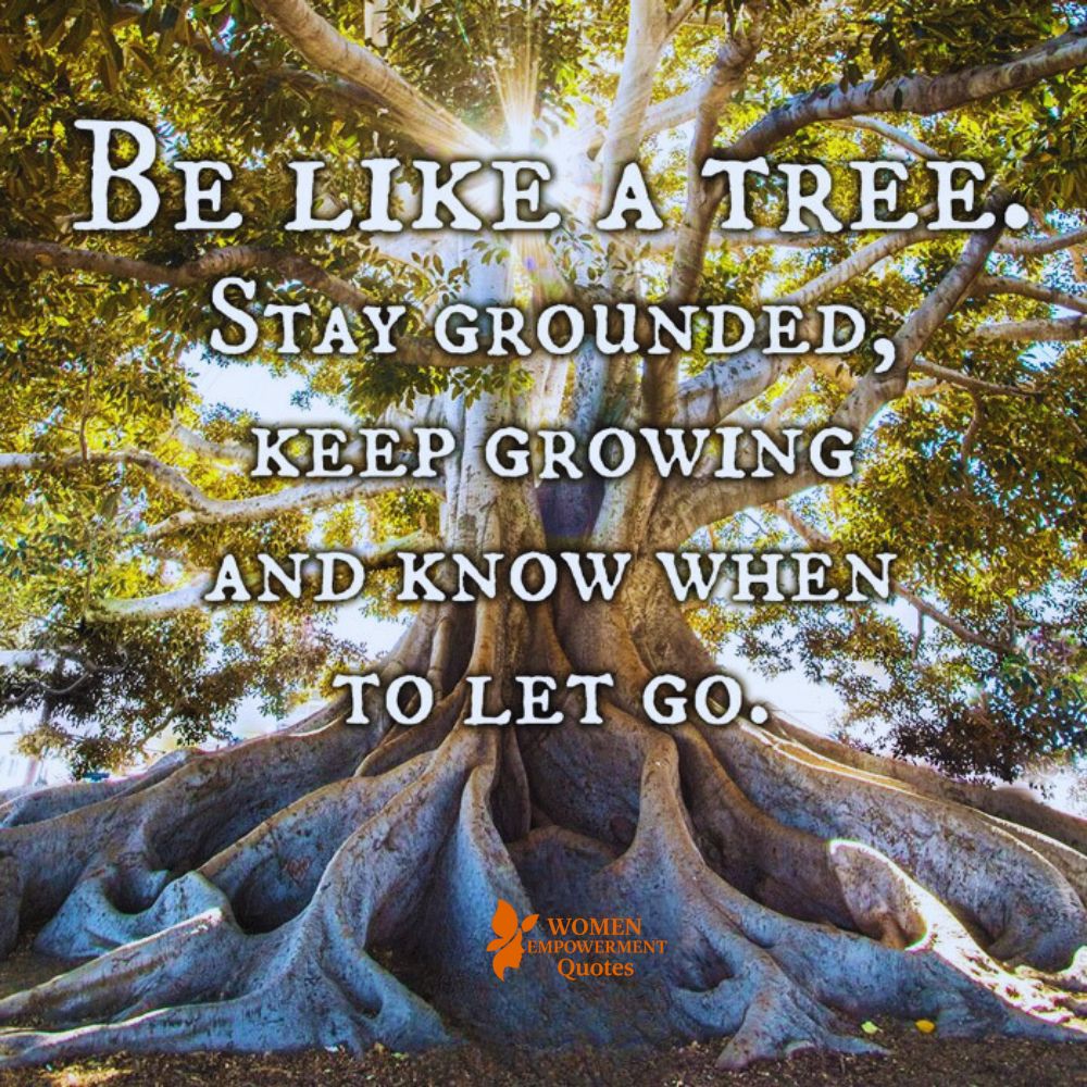 Grow Like a Tree: Lessons in Strength, Renewal, and Connection
