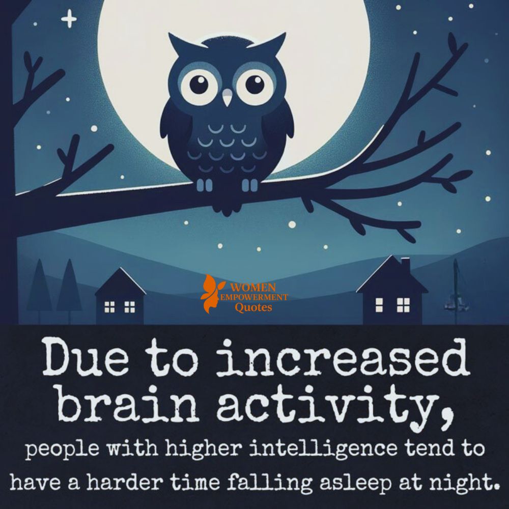 When a Brilliant Mind Won’t Rest: The Quiet Struggle of the Highly Intelligent
