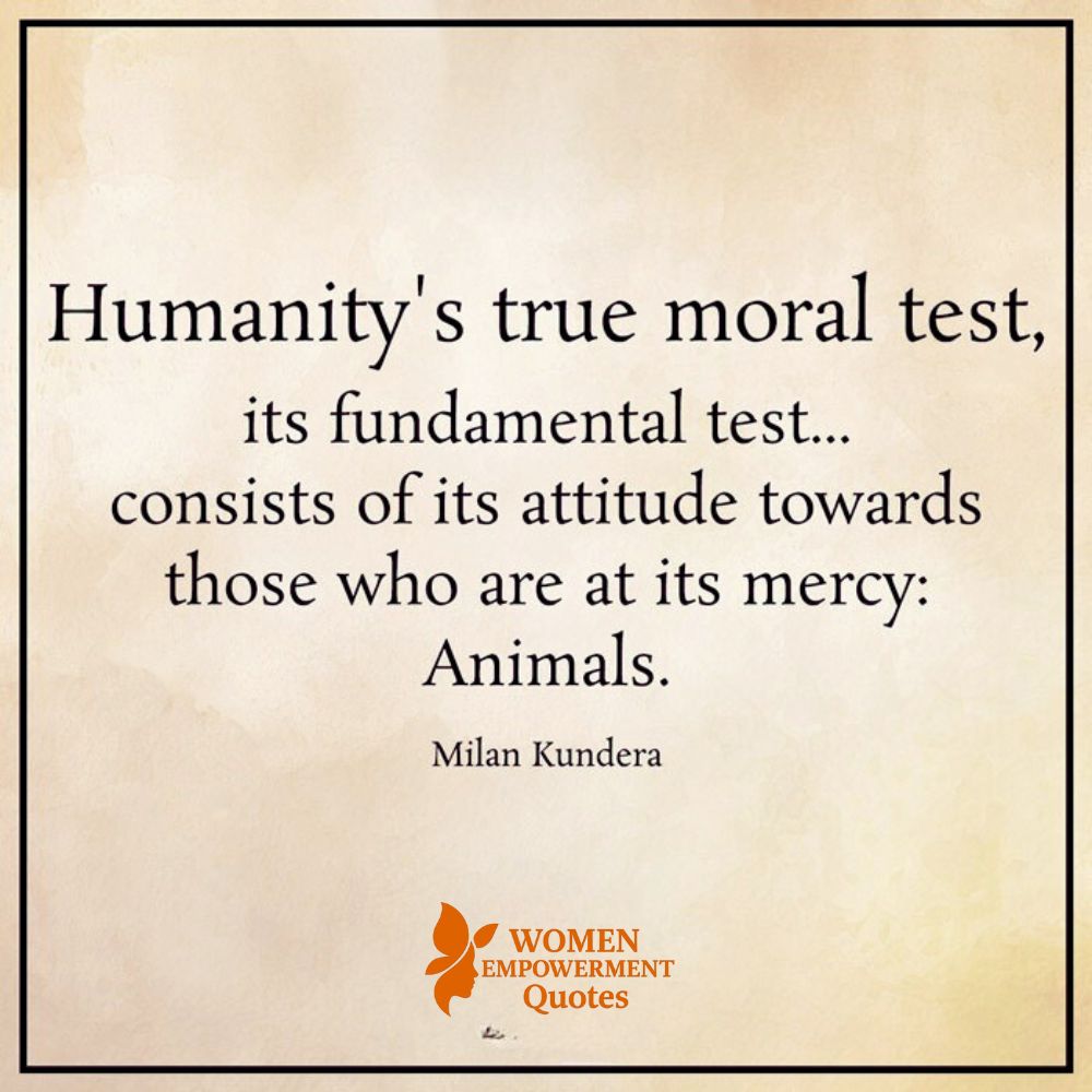 How We Treat the Voiceless Reveals Who We Truly Are