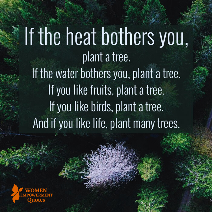 PLANT A TREE, PLANT HOPE