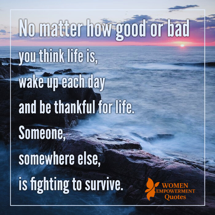 Grateful to Be Alive: A Daily Choice That Changes Everything