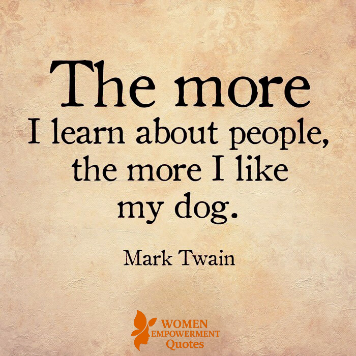 Why Dogs Win Our Hearts: A Reflection on Trust, Loyalty, and the Human Spirit