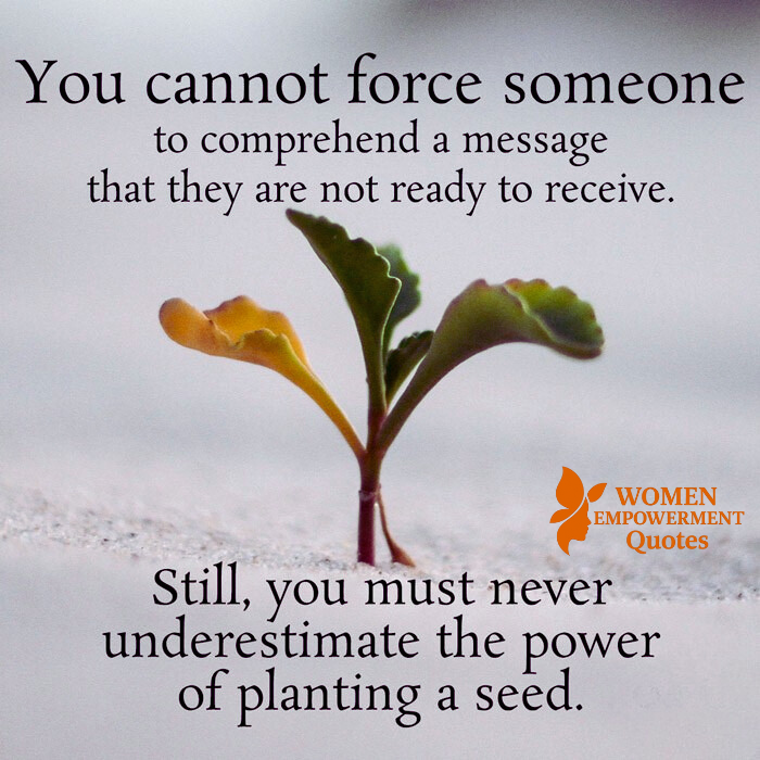 The Gentle Power of Planting Seeds: Trusting Growth Beyond Understanding