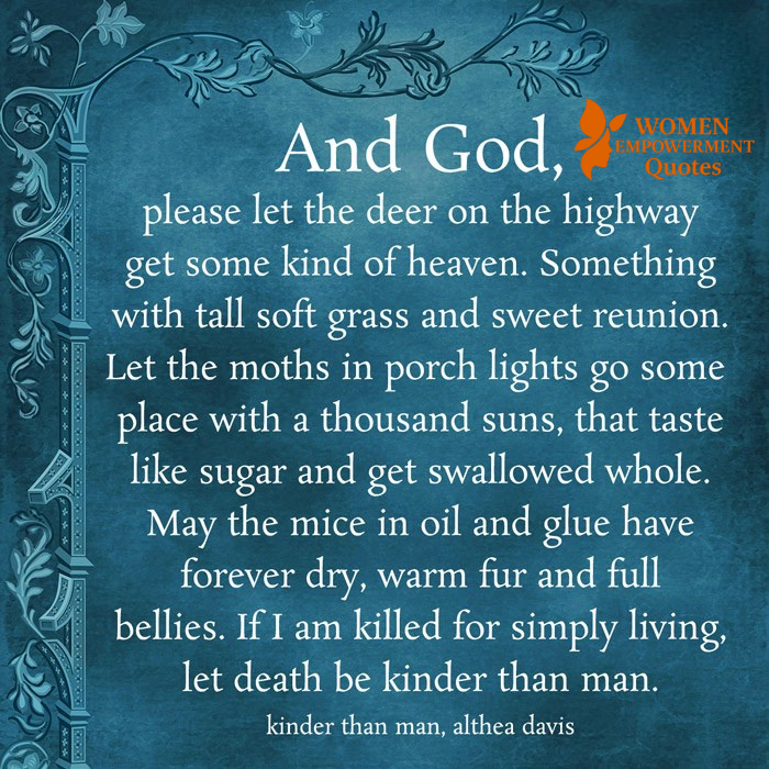 Let There Be Mercy for the Voiceless: A Prayer for the Small and Forgotten