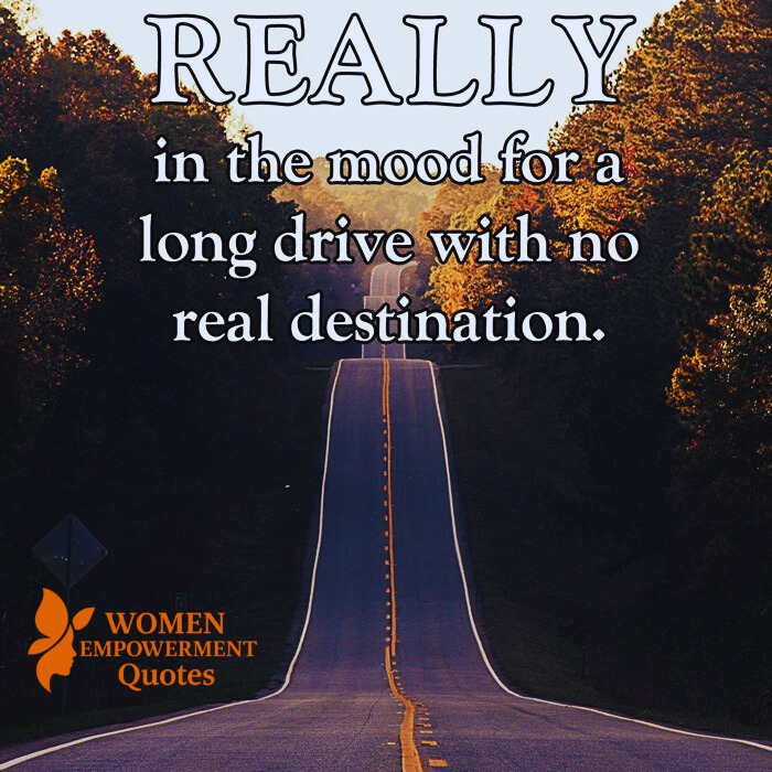 Wandering Roads, Finding Self: The Quiet Magic of a Long Drive