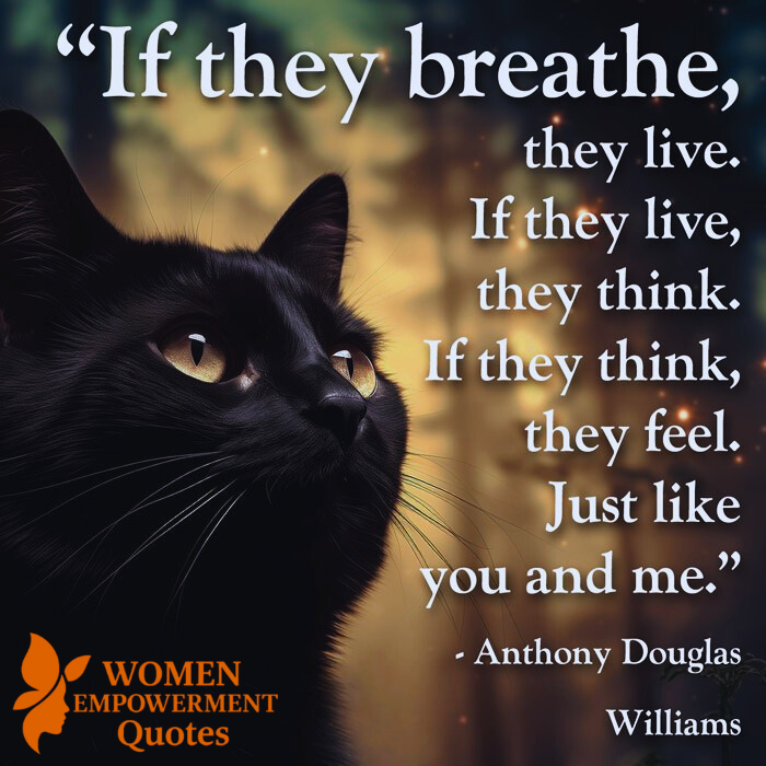  Breath, Thought, and Heartbeat: What Unites All Living Beings