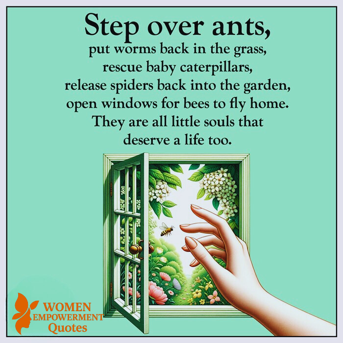 Tiny Lives, Sacred Threads: Walking Gently Through the Web of Life