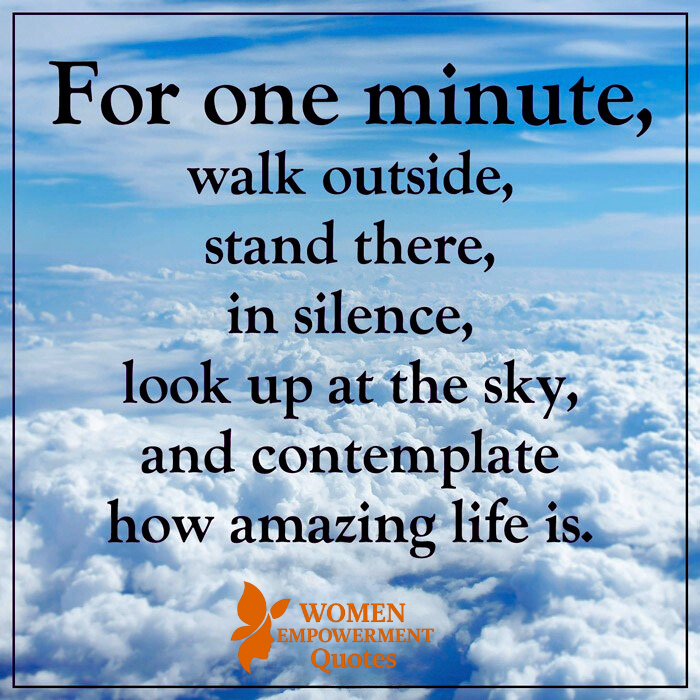 A Minute of Stillness: Rediscovering Life's Quiet Miracles