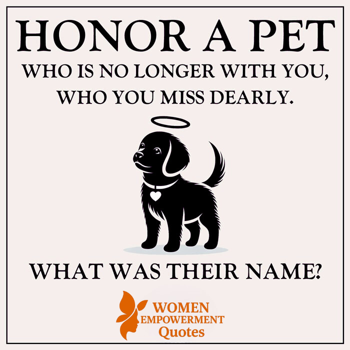 Forever in Our Hearts: Honoring the Love of a Pet Who’s Gone