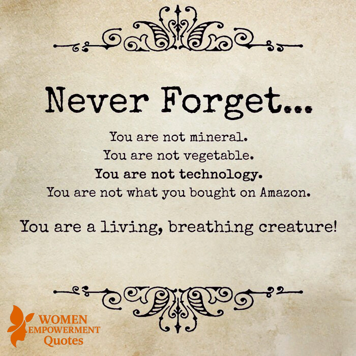 Awaken to Who You Truly Are: Reclaiming Wonder and Self