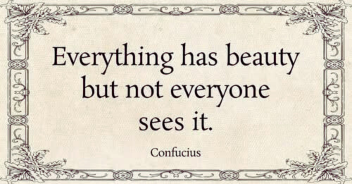The Hidden Beauty All Around Us