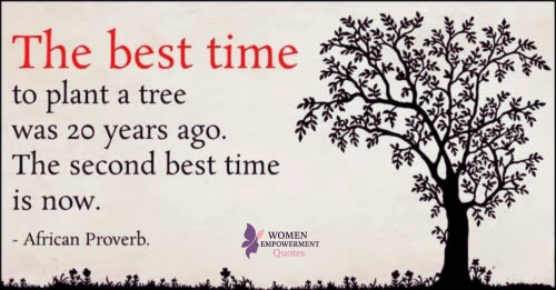 26 Fascinating Facts About Trees