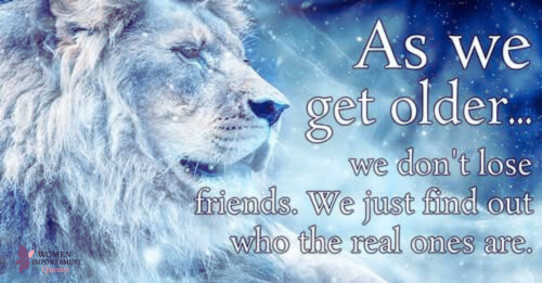 The Alchemy of Friendship: How Time Reveals Our True Connections