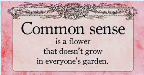 Understanding the Rarity of Common Sense