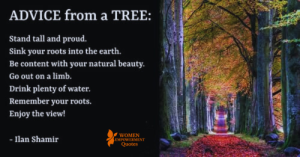 Rooted and Rising: Life Lessons from the Silent Wisdom of Trees