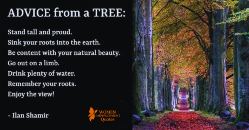Rooted and Rising: Life Lessons from the Silent Wisdom of Trees