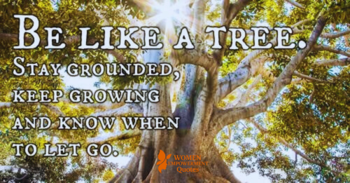 Grow Like a Tree: Lessons in Strength, Renewal, and Connection