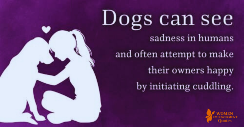 When Your Heart Breaks, They Know: The Quiet Wisdom of Dogs