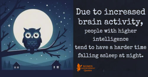 When a Brilliant Mind Won’t Rest: The Quiet Struggle of the Highly Intelligent