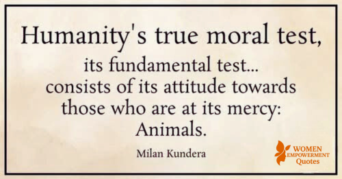 How We Treat the Voiceless Reveals Who We Truly Are