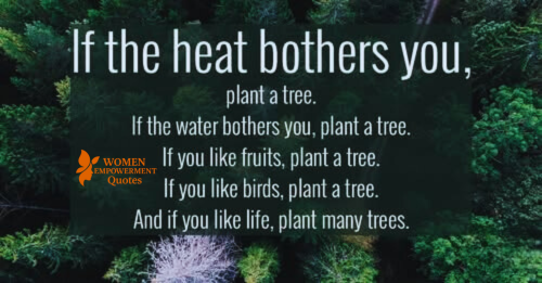 PLANT A TREE, PLANT HOPE
