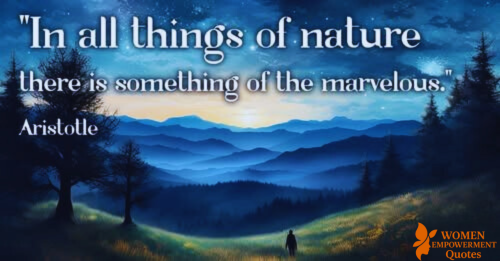 The Quiet Wonder of Nature: A Journey Through Aristotle’s Eyes