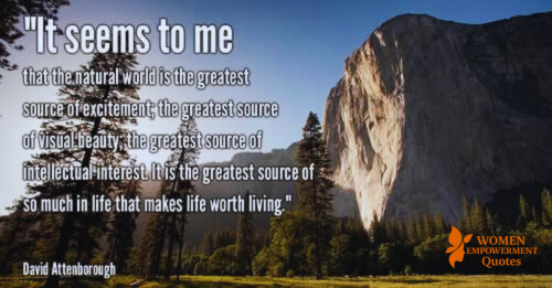 Where the Soul Breathes: Finding Meaning in Nature’s Embrace