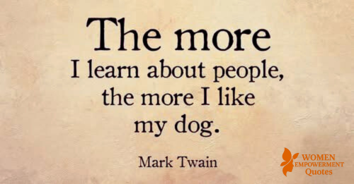 Why Dogs Win Our Hearts: A Reflection on Trust, Loyalty, and the Human Spirit