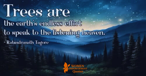 Whispers from the Earth: The Silent Wisdom of Trees