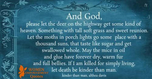 Let There Be Mercy for the Voiceless: A Prayer for the Small and Forgotten