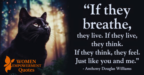 Breath, Thought, and Heartbeat: What Unites All Living Beings