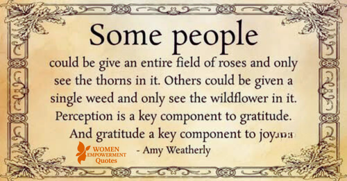 Choosing Gratitude in a World of Thorns