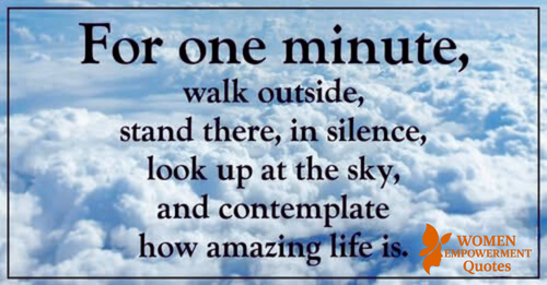 A Minute of Stillness: Rediscovering Life’s Quiet Miracles