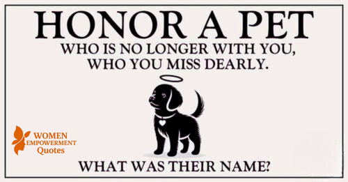 Forever in Our Hearts: Honoring the Love of a Pet Who’s Gone